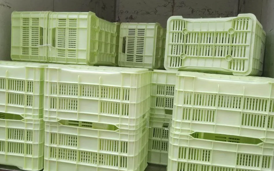 cajas de plastico para frutas